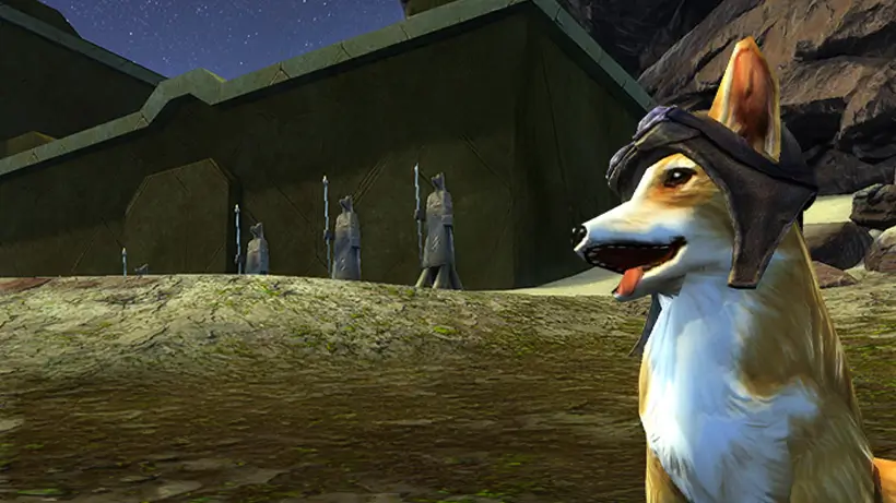 Corgi Month June 2025