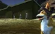 Corgi Month June 2025