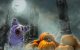 Slider_1200x675px_FR